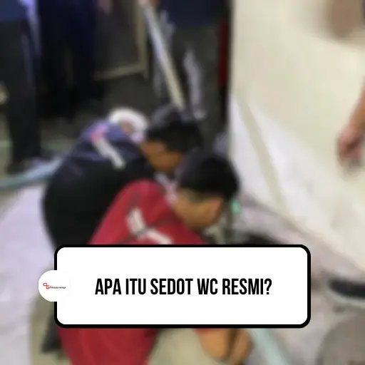 Apa itu Sedot WC Resmi?