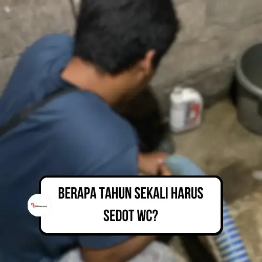 Berapa Tahun Sekali Harus Sedot WC?
