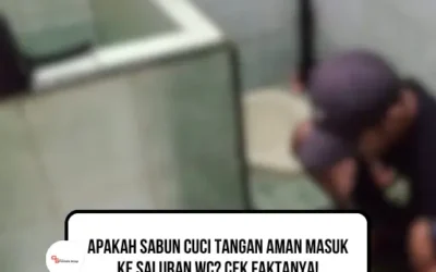 Apakah Sabun Cuci Tangan Aman Masuk ke Saluran WC? Cek Faktanya!
