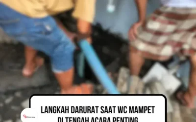 Langkah Darurat Saat WC Mampet di Tengah Acara Penting