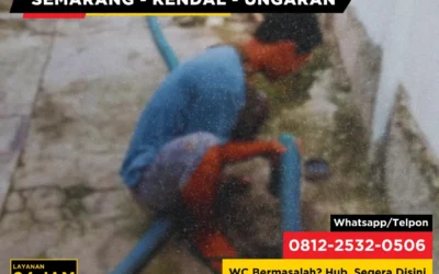 Apa Bahaya Membuang Obat Kadaluarsa ke Saluran WC?