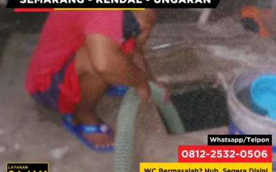 Apa yang Harus Dicek Sebelum Membeli Rumah Bekas dengan Septic Tank Lama?