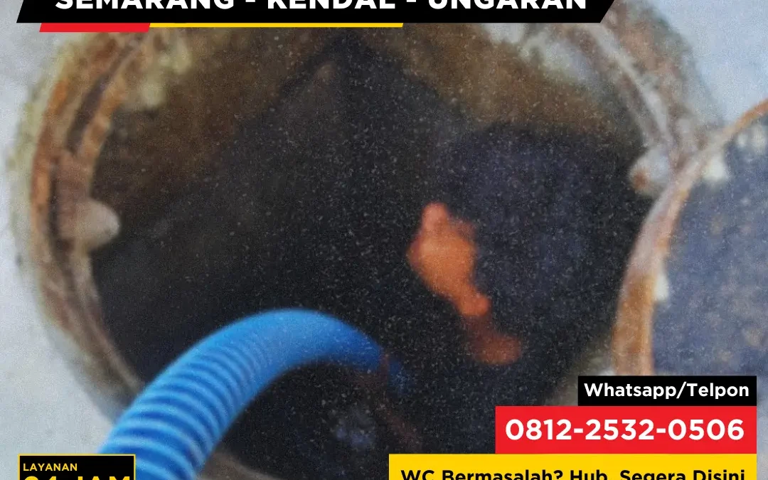 Apa yang Terjadi Jika Septic Tank Tidak Pernah Dikuras Selama Bertahun-Tahun?
