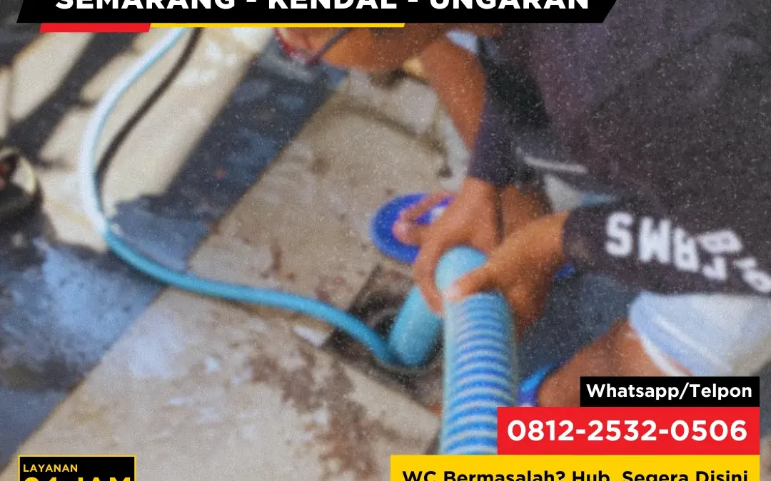 Apakah Boleh Menggunakan Pemutih Pakaian untuk Membersihkan WC?