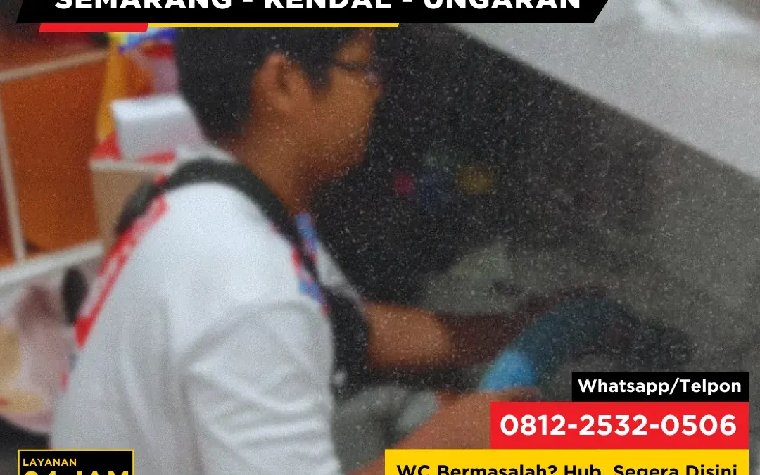 Apakah WC yang Jarang Dipakai Bisa Mampet?