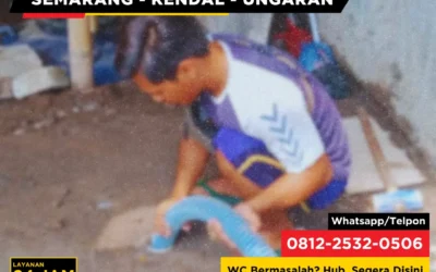 Kenapa Bau Busuk dari Septic Tank Muncul Meskipun Baru Saja Disot?