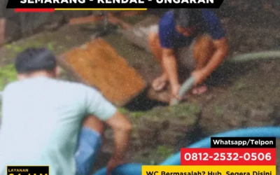 5 Mitos Salah tentang Septic Tank yang Masih Banyak Dipercaya