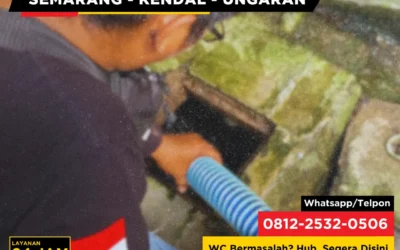 Apakah Boleh Membuang Kotoran Hewan Peliharaan ke Saluran WC?