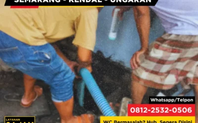 Apakah Boleh Parkir Mobil di Atas Septic Tank?