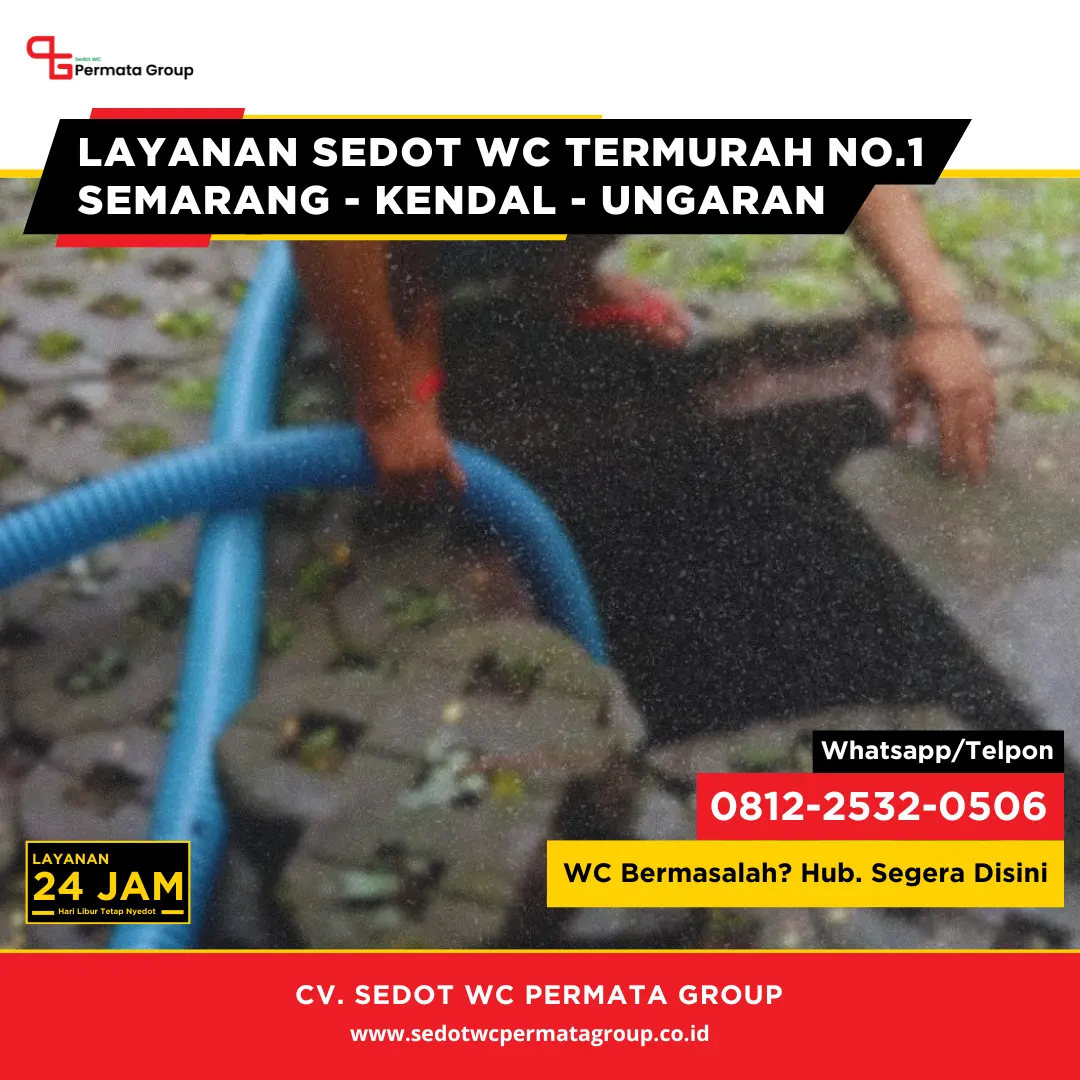 Apakah Deterjen Bisa Membunuh Bakteri Baik di Dalam Septic Tank?