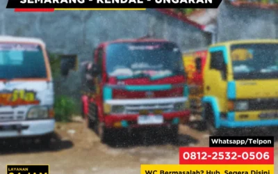Apakah Perlu Menambahkan Bakteri Tambahan ke Septic Tank?