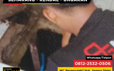 Bagaimana Cara Kerja Septic Tank? Inilah Penjelasan Lengkapnya