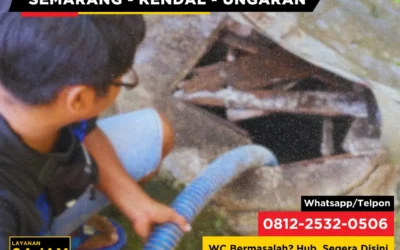 Bahaya Menggunakan Obat WC Kimia Berlebihan Bagi Septic Tank