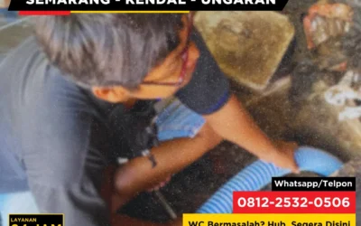 Cara Membedakan WC Mampet dan Septic Tank Penuh