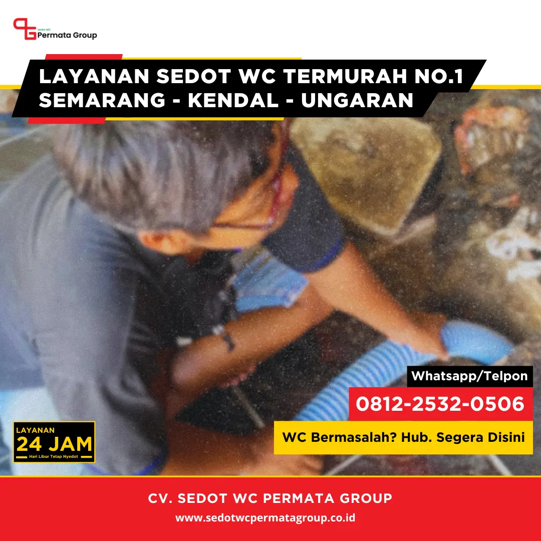 Cara Membedakan WC Mampet dan Septic Tank Penuh