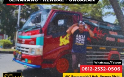 Cara Menemukan Lokasi Tutup Septic Tank yang Terkubur di Halaman Rumah