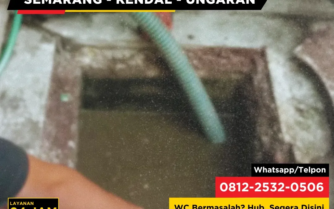 Cara Mengatasi WC Mampet Berulang Meski Sudah Disedot