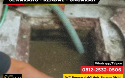 Cara Mengatasi WC Mampet Berulang Meski Sudah Disedot