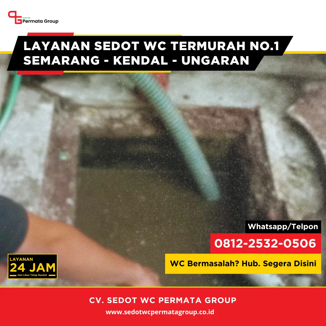 Cara Mengatasi WC Mampet Berulang Meski Sudah Disedot