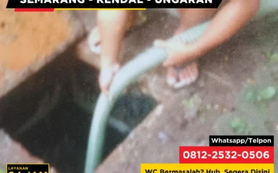 Kenapa Air di Mangkok WC Naik Turun Sendiri Tanpa Diflush?