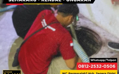 Kenapa Saluran WC di Rumah Lama Lebih Rentan Mampet Dibanding Rumah Baru?