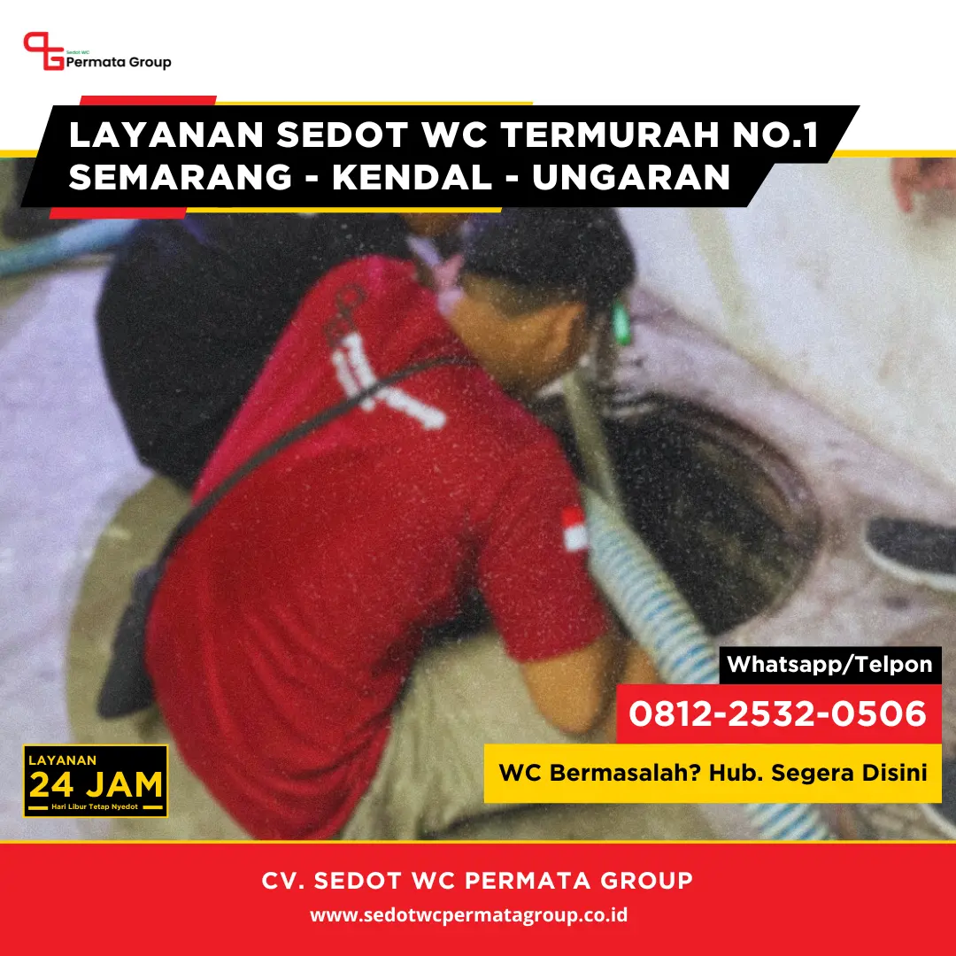Kenapa Saluran WC di Rumah Lama Lebih Rentan Mampet Dibanding Rumah Baru?