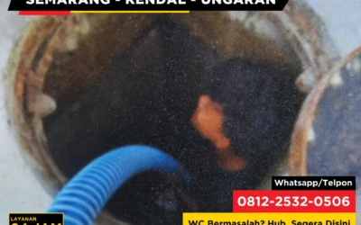 Kenapa Saluran WC Mengeluarkan Suara Gelegak Saat Diflush?