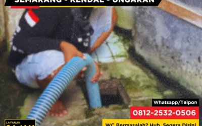 Kenapa Septic Tank di Area Tanah Liat Lebih Sering Bermasalah?