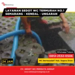 7 Bahan Kimia Rumah Tangga yang Tanpa Sadar Merusak Septic Tank