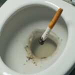 7 Kebiasaan yang Diam-Diam Merusak Saluran WC dan Septic Tank