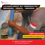 Cara Mengatasi Kerusakan Saluran WC Akibat Akar Pohon dengan Pendekatan Profesional