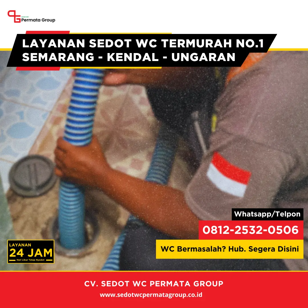 Cara Mengatasi Kerusakan Saluran WC Akibat Akar Pohon dengan Pendekatan Profesional