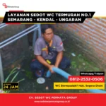 Cara Mengatasi Kerusakan Saluran WC Akibat Akar Pohon dengan Pendekatan Profesional