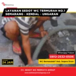 Cara Mengatasi WC Lambat Mengalir Sebelum Benar-Benar Mampet Total